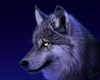 TimberWolf257