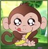 TheCrazyMonkey