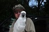 BaileyCockatoo