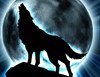TheWolfShadow