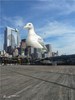 Chief.Seagull