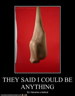 THEY SAID I COULD BE ANYTHING