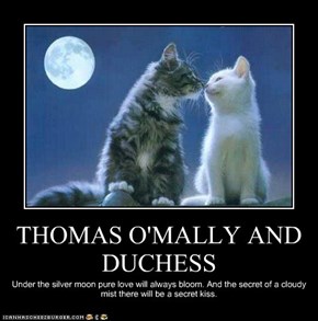 THOMAS O'MALLY AND DUCHESS