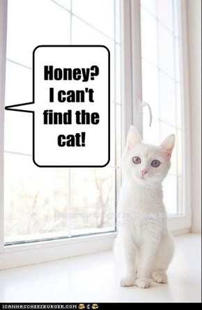 Honey? I can't find the cat!