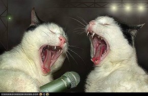 karaoke