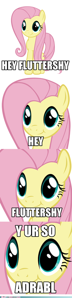 Flutter-DAAAAAAAAAAW!!!