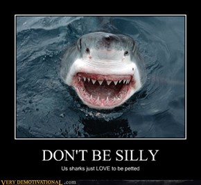 DON'T BE SILLY