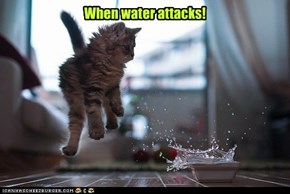 When water attacks!