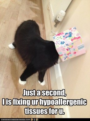 Just a second,  I is fixing ur hypoallergenic tissues for u.