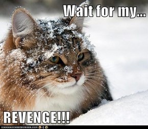 Wait for my...  REVENGE!!!