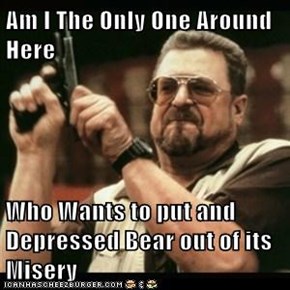 Am I The Only One Around Here   Who Wants to put and Depressed Bear out of its Misery