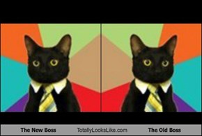 The New Boss Totally Looks Like The Old Boss