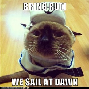 BRING RUM  WE SAIL AT DAWN