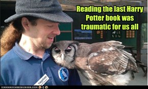 Reading the last Harry Potter book was traumatic for us all