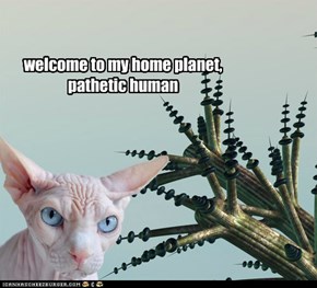 welcome to my home planet, pathetic human