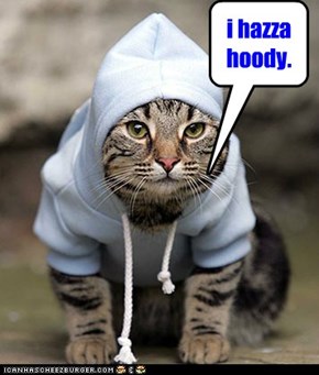 i hazza hoody.