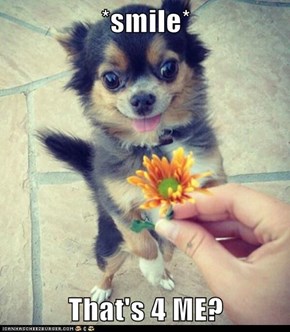 *smile*  That's 4 ME?
