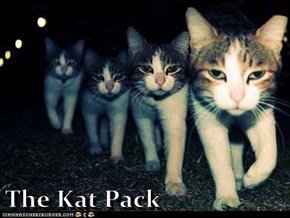 The Kat Pack