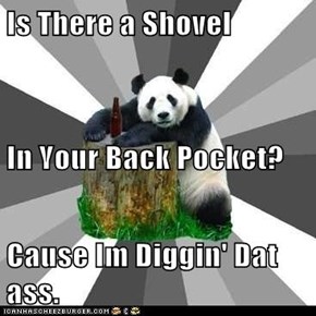 Is There a Shovel In Your Back Pocket? Cause Im Diggin' Dat ass.