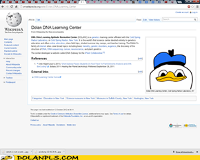 Dolan has invaded Wikipedia!