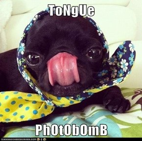 ToNgUe  PhOtObOmB