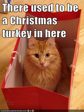 There used to be a Christmas turkey in here