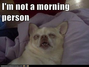 I'm not a morning person