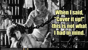 When I said, "Cover it up!" this is not what I had in mind.