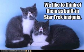 We like to think of them as built-in Star Trek insignia.