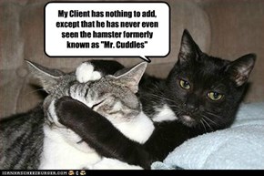 My Client has nothing to add, except that he has never even seen the hamster formerly known as "Mr. Cuddles"
