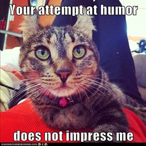 Your attempt at humor  does not impress me