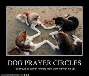 DOG PRAYER CIRCLES