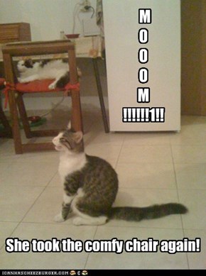 M O O O M  !!!!!!1!!