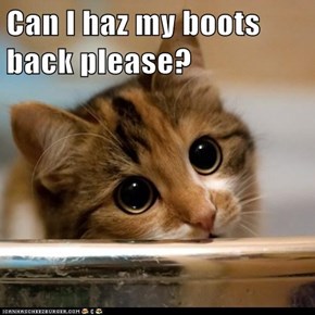 Can I haz my boots back please?