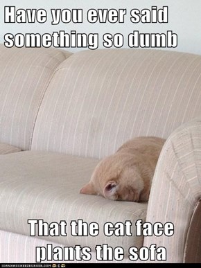 Have you ever said something so dumb  That the cat face plants the sofa