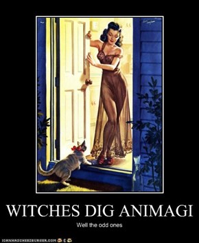 WITCHES DIG ANIMAGI