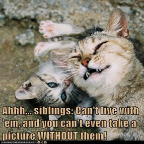 Ahhh... siblings: Can't live with 'em, and you can't even take a picture WITHOUT them!