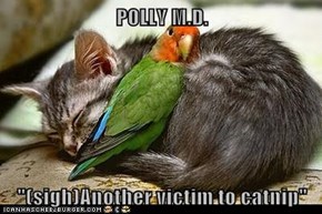 POLLY M.D.  "(sigh)Another victim to catnip"