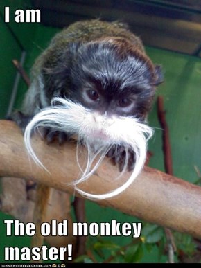 I am  The old monkey master!