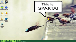 This- this is madness!