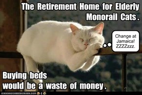 The  Retirement  Home  for  Elderly  Monorail  Cats .
