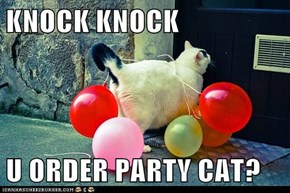 KNOCK KNOCK  U ORDER PARTY CAT?