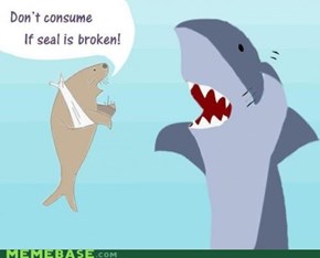 Confused shark is confused