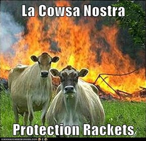 La Cowsa Nostra  Protection Rackets