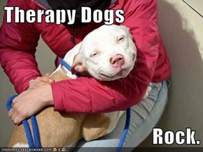 Therapy Dogs  Rock.
