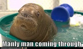 Manly man coming through