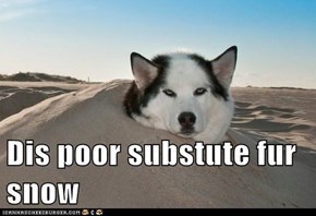 Dis poor substute fur snow