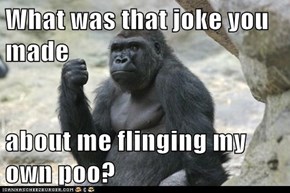 What was that joke you made  about me flinging my own poo?