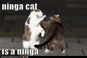 ninga cat  is a ninga