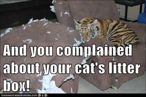 And you complained about your cat's litter box!